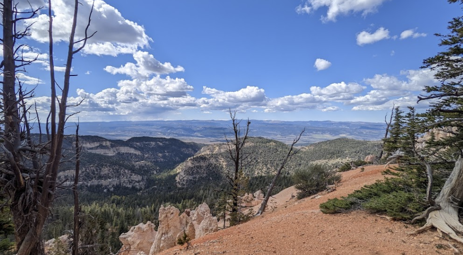 Wide Bryce area overlook from the trail