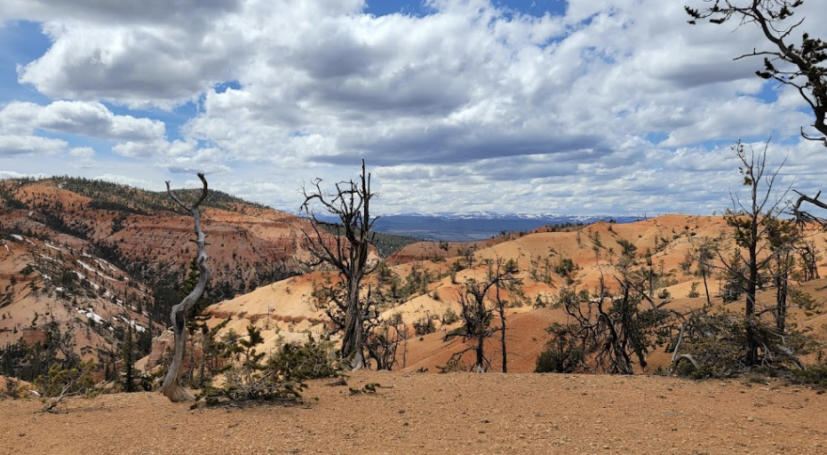 Customer photo of high desert cliffs and clouds