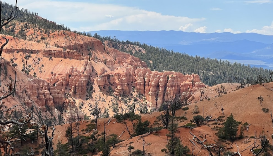 Customer photo of orange cliffs from the trail