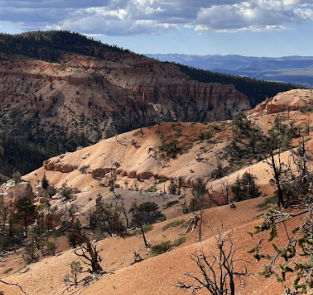 Customer photo of Bryce-area canyon formations