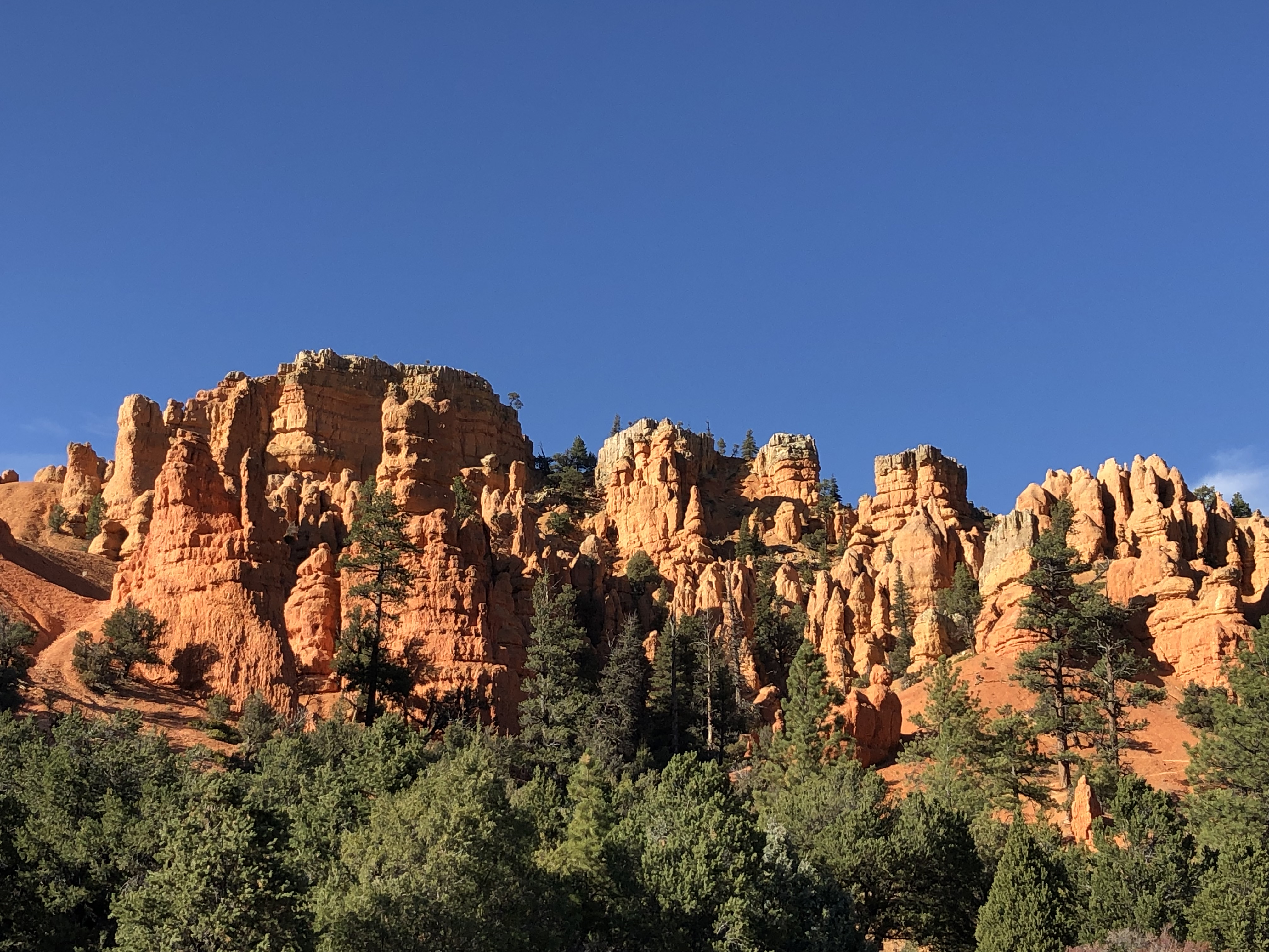 Orange hoodoo cliffs and ATV trail in Bryce Canyon country